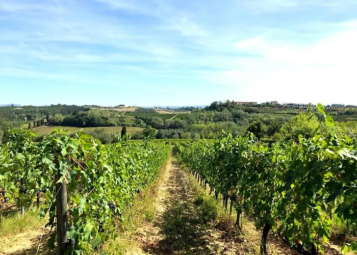 La Ginestra - Terrazza Apartman