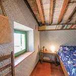 La Ginestra - Terrazza Orciatico